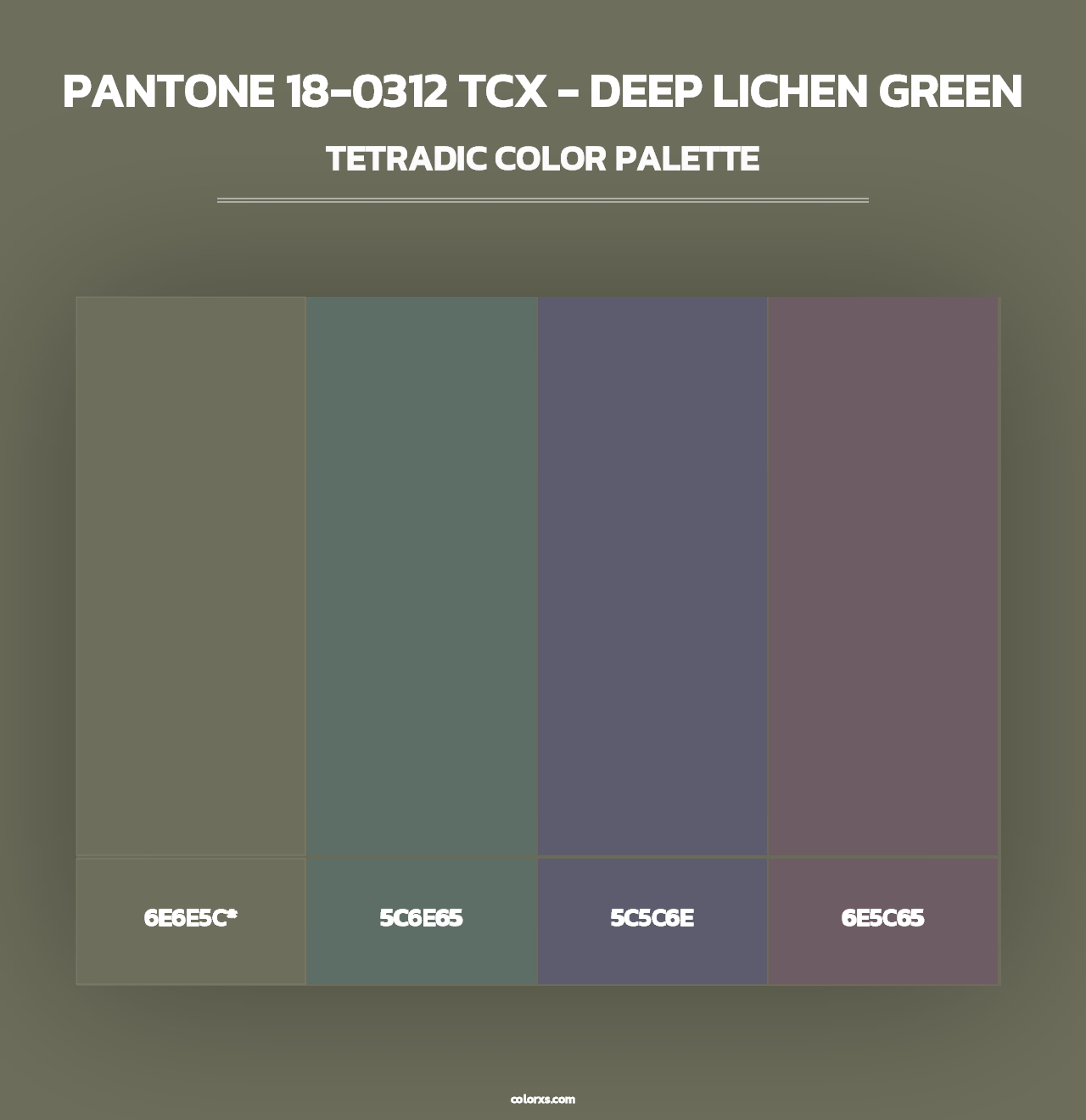 PANTONE 18-0312 TCX - Deep Lichen Green - Tetradic Color Palette