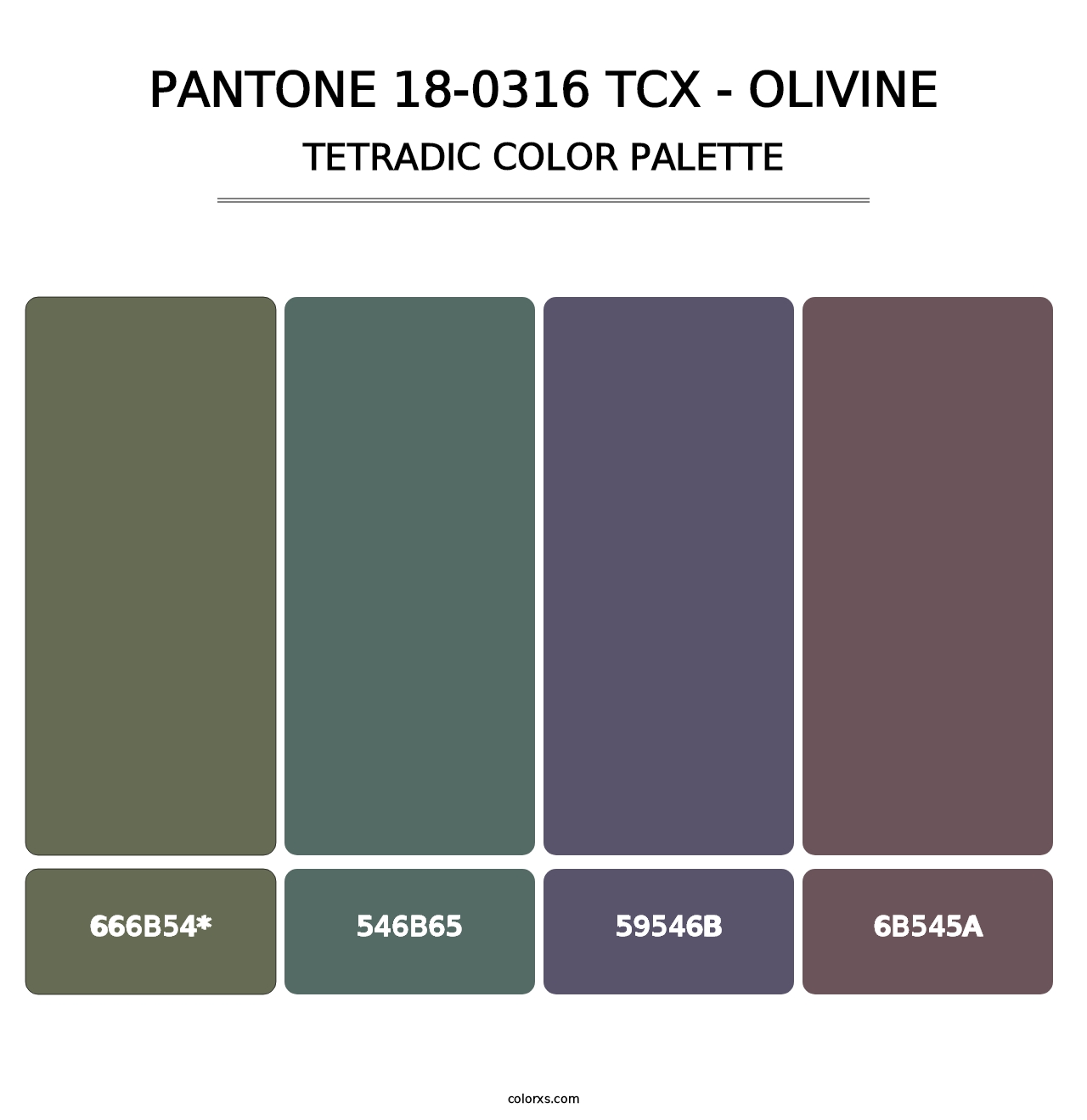 PANTONE 18-0316 TCX - Olivine - Tetradic Color Palette