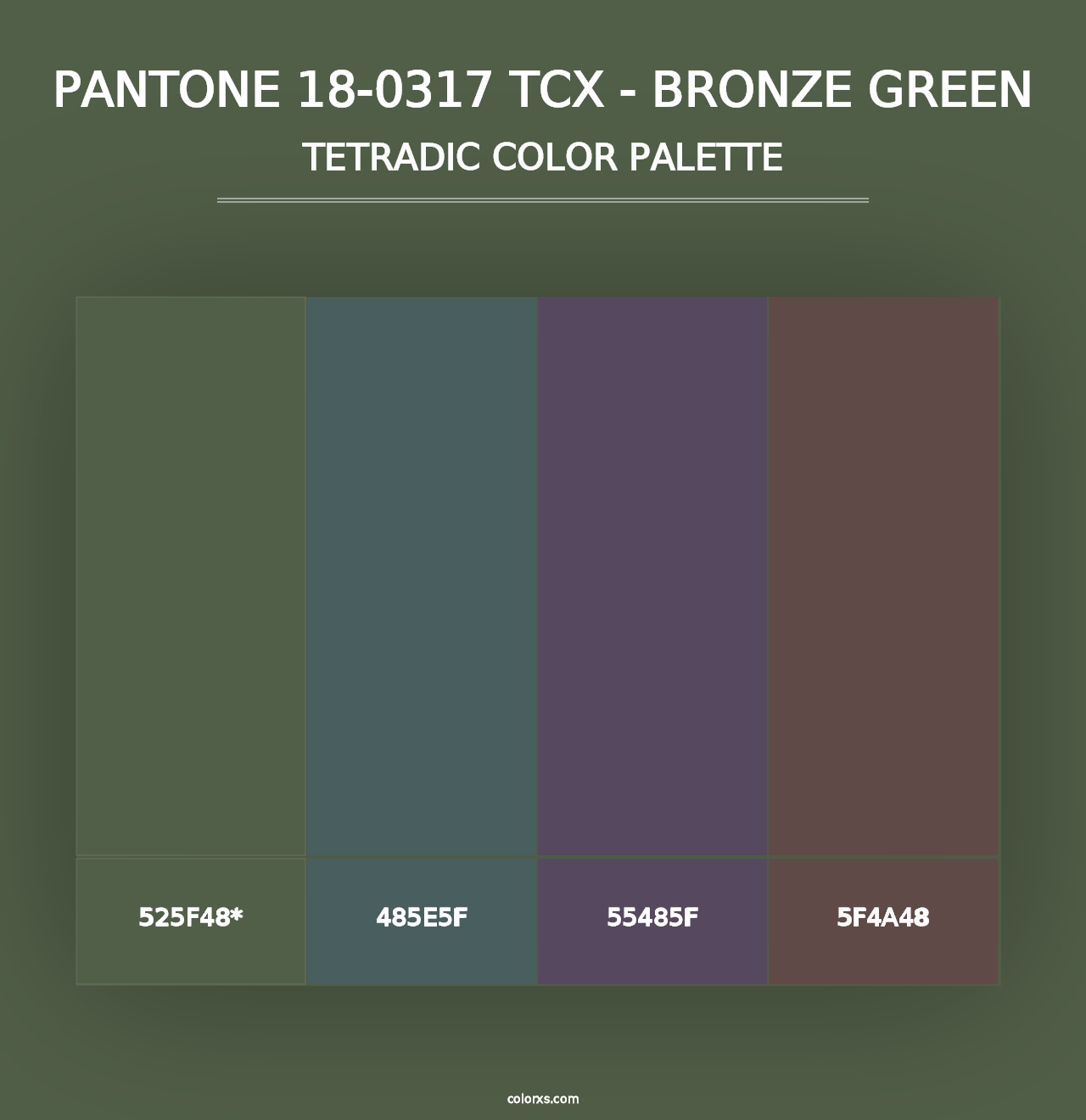 PANTONE 18-0317 TCX - Bronze Green - Tetradic Color Palette