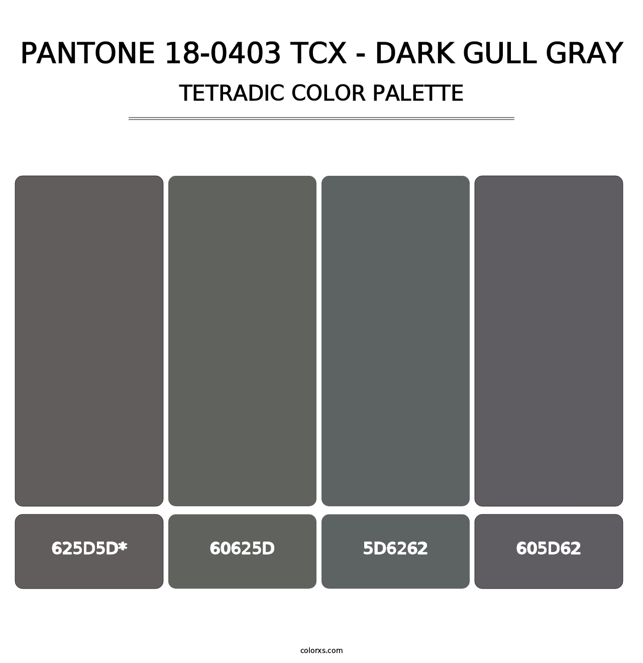 PANTONE 18-0403 TCX - Dark Gull Gray - Tetradic Color Palette