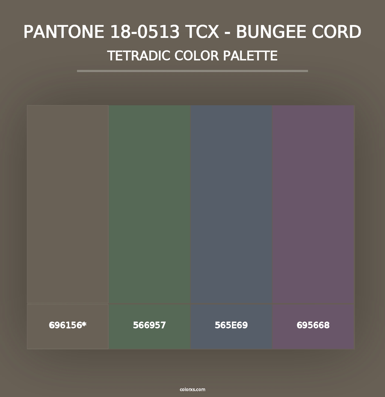 PANTONE 18-0513 TCX - Bungee Cord - Tetradic Color Palette