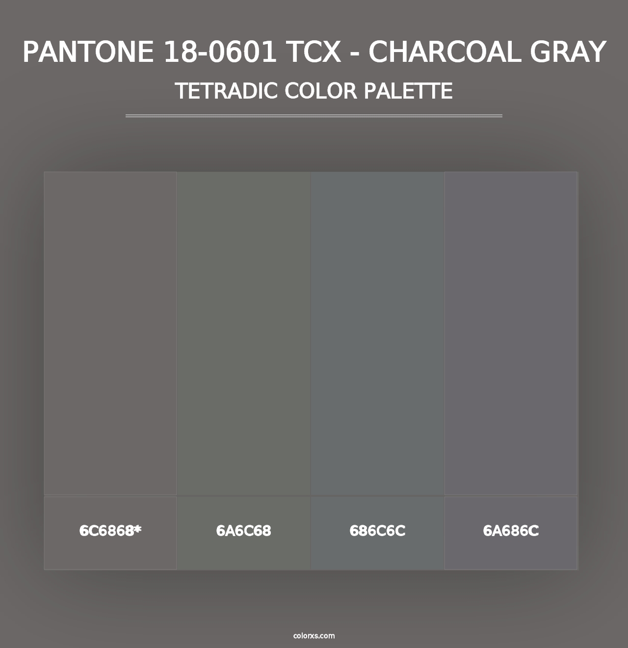 PANTONE 18-0601 TCX - Charcoal Gray - Tetradic Color Palette