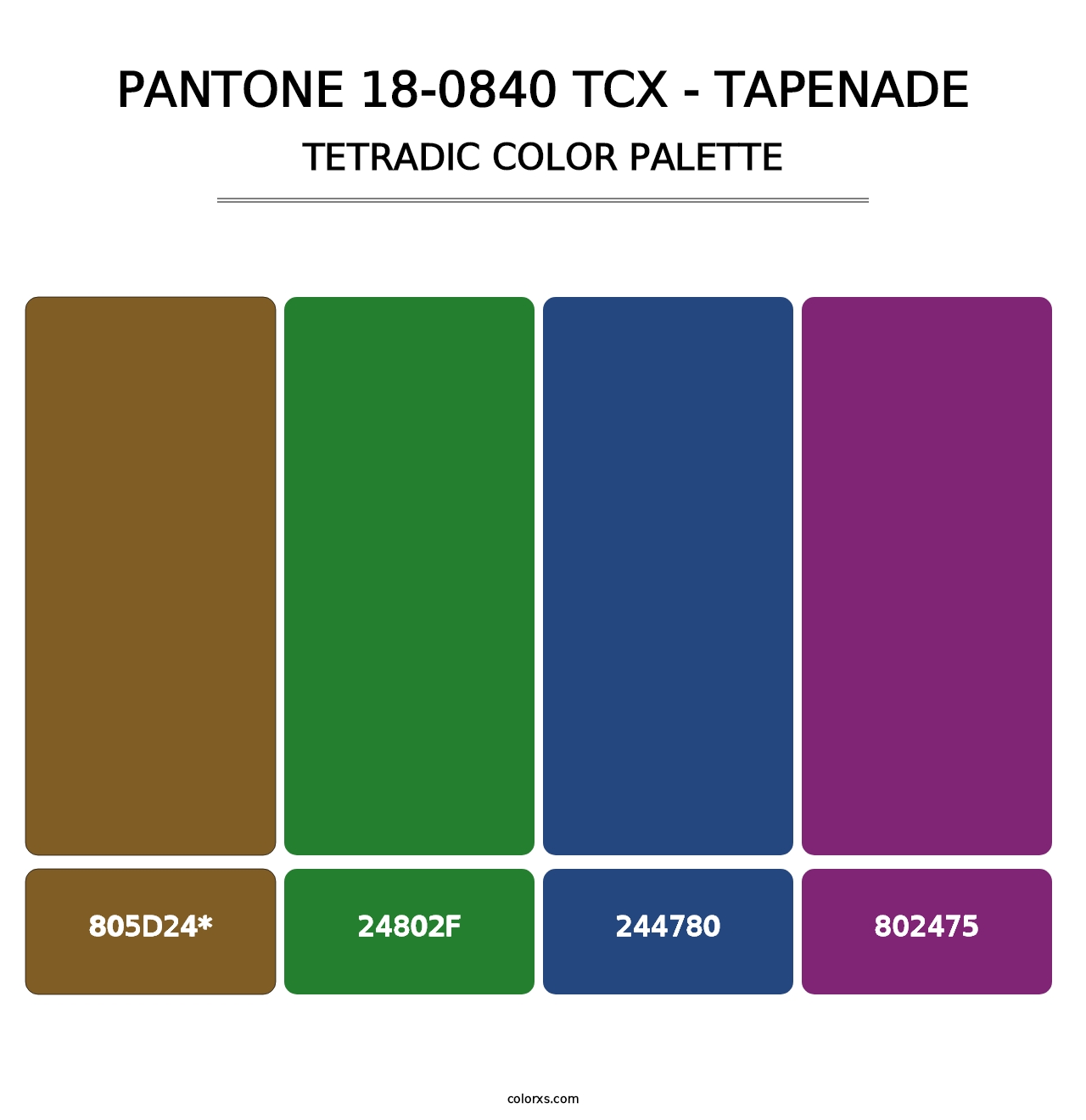 PANTONE 18-0840 TCX - Tapenade - Tetradic Color Palette