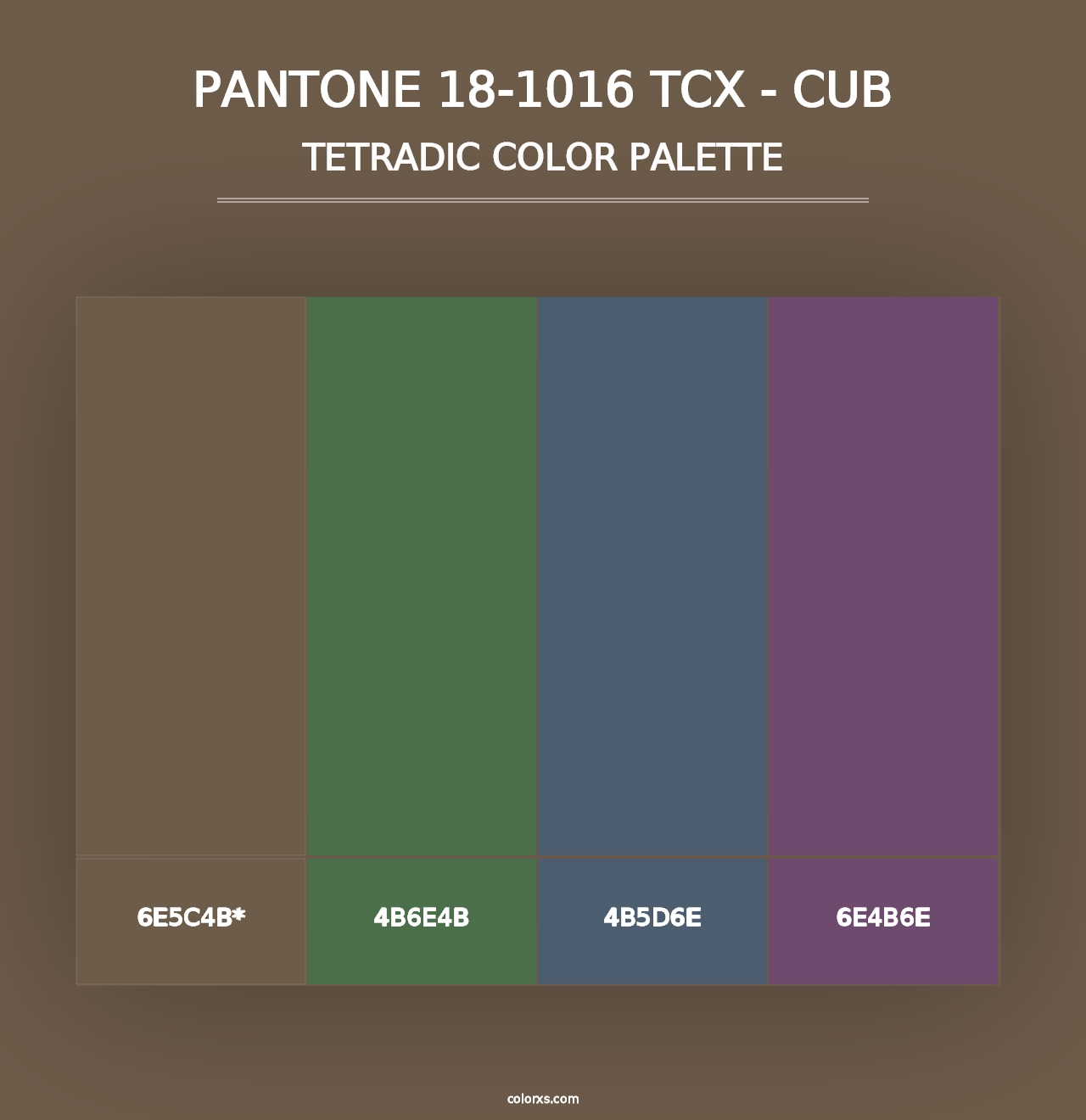 PANTONE 18-1016 TCX - Cub - Tetradic Color Palette