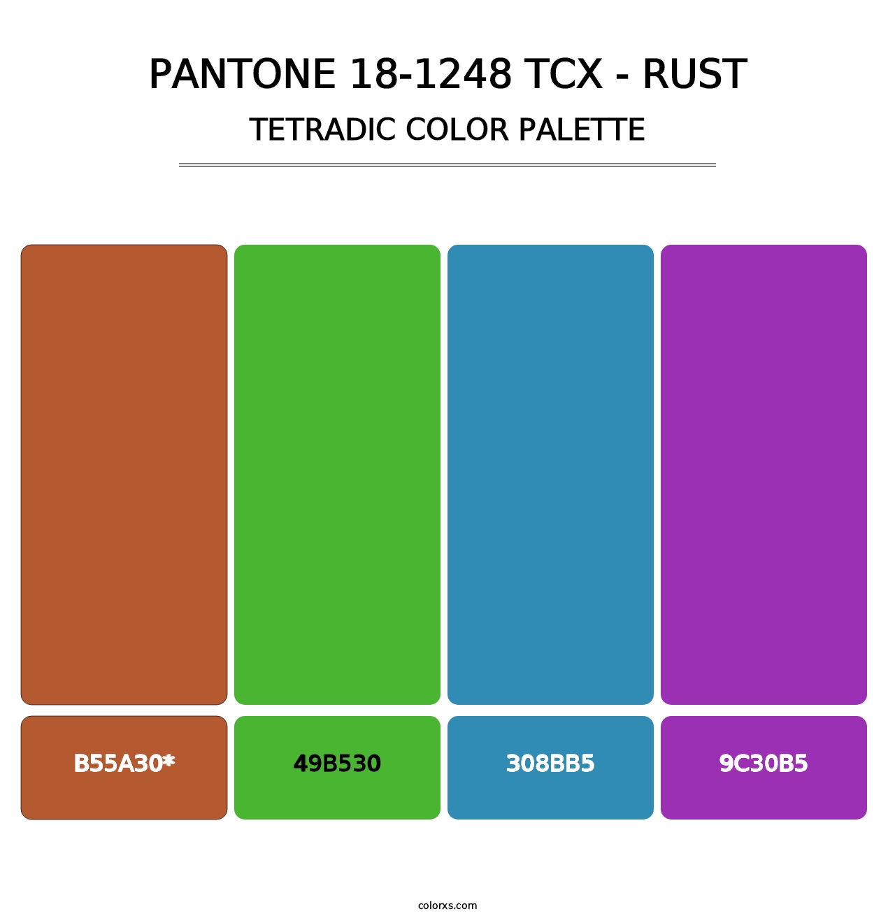 PANTONE 18-1248 TCX - Rust - Tetradic Color Palette