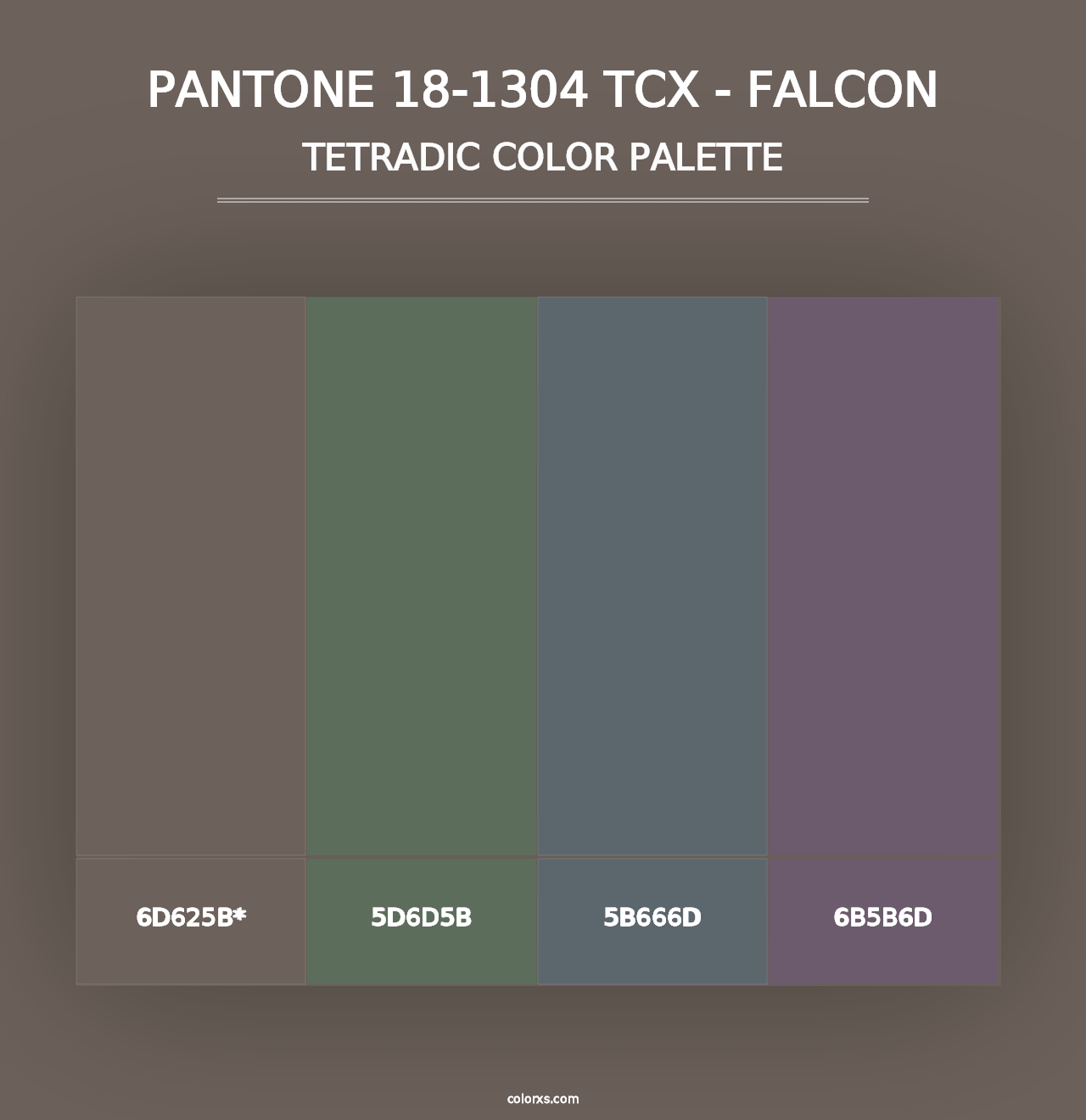 PANTONE 18-1304 TCX - Falcon - Tetradic Color Palette