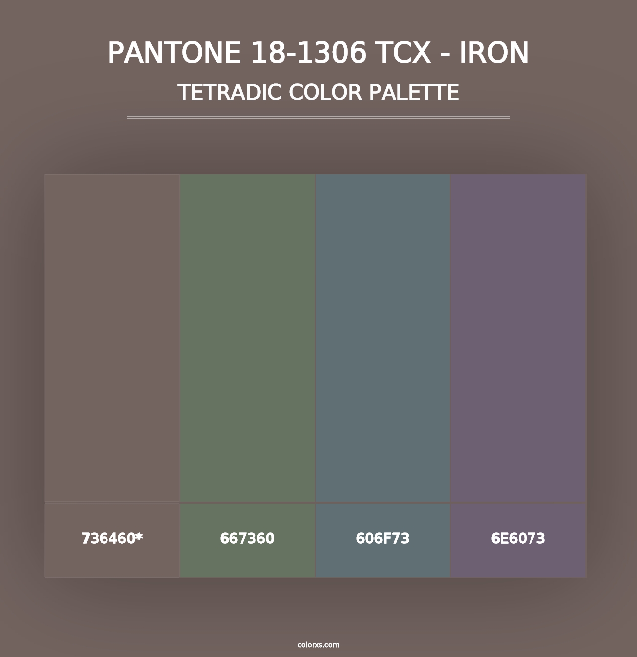 PANTONE 18-1306 TCX - Iron - Tetradic Color Palette