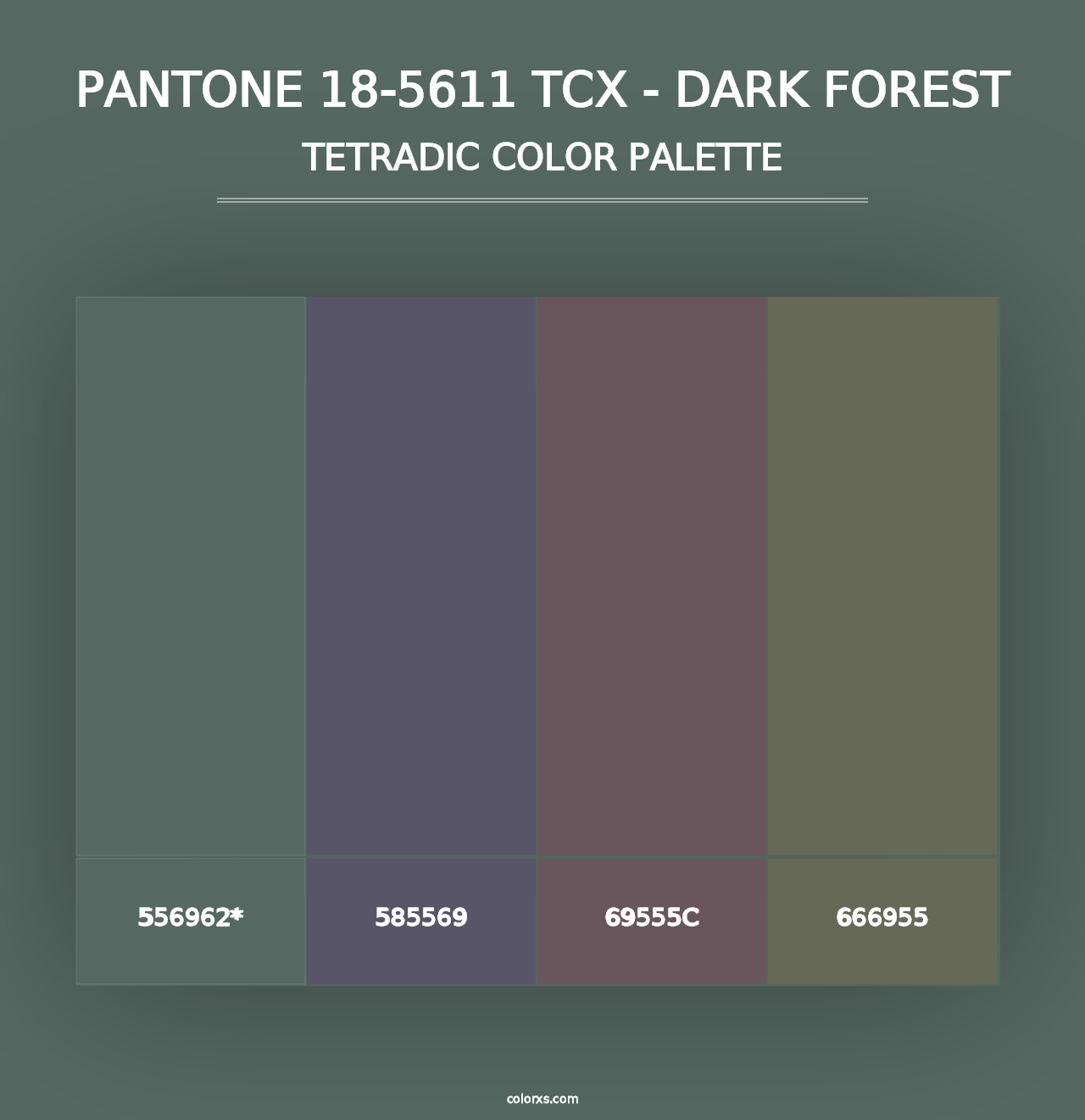 PANTONE 18-5611 TCX - Dark Forest - Tetradic Color Palette