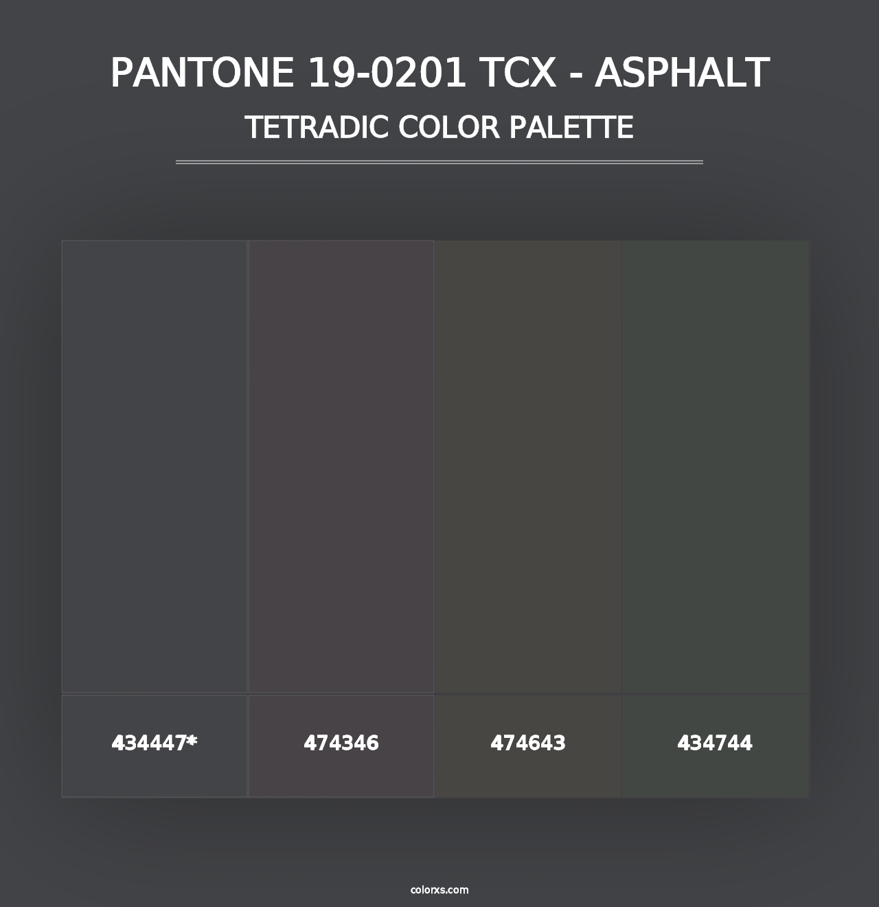 PANTONE 19-0201 TCX - Asphalt - Tetradic Color Palette