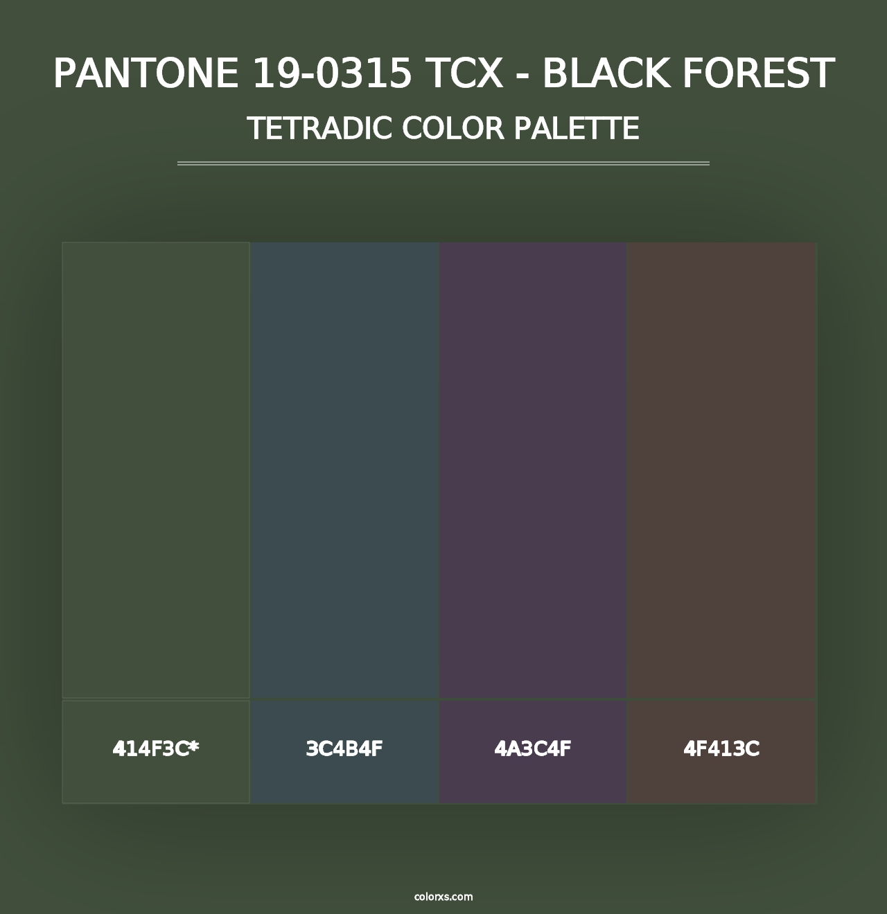 PANTONE 19-0315 TCX - Black Forest - Tetradic Color Palette