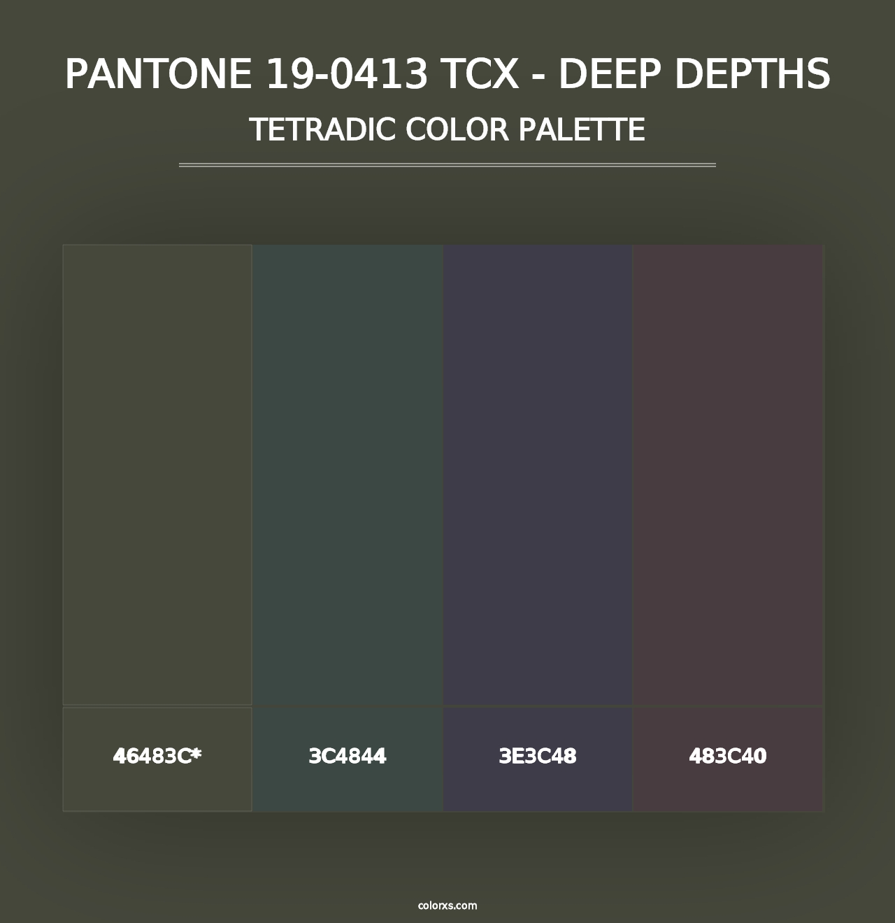 PANTONE 19-0413 TCX - Deep Depths - Tetradic Color Palette