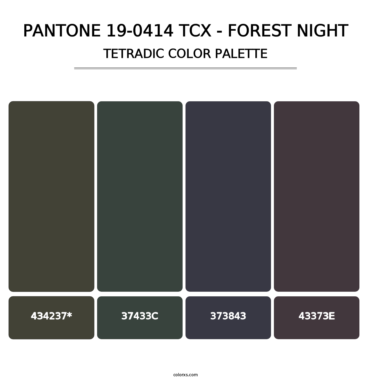 PANTONE 19-0414 TCX - Forest Night - Tetradic Color Palette