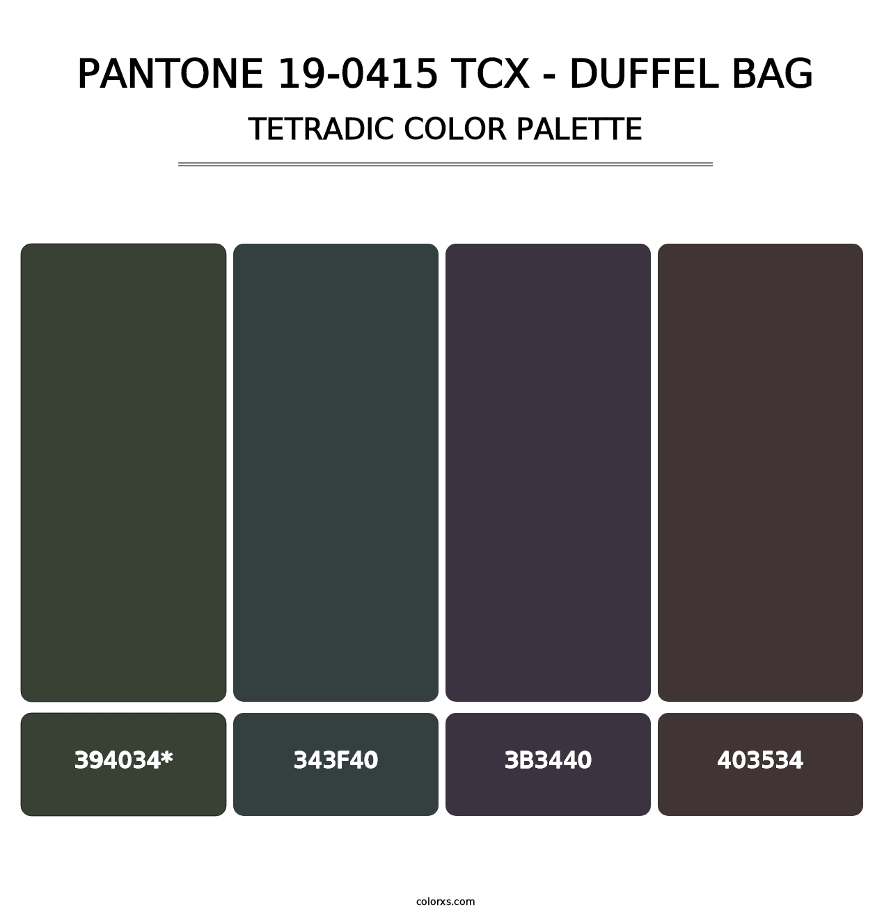 PANTONE 19-0415 TCX - Duffel Bag - Tetradic Color Palette