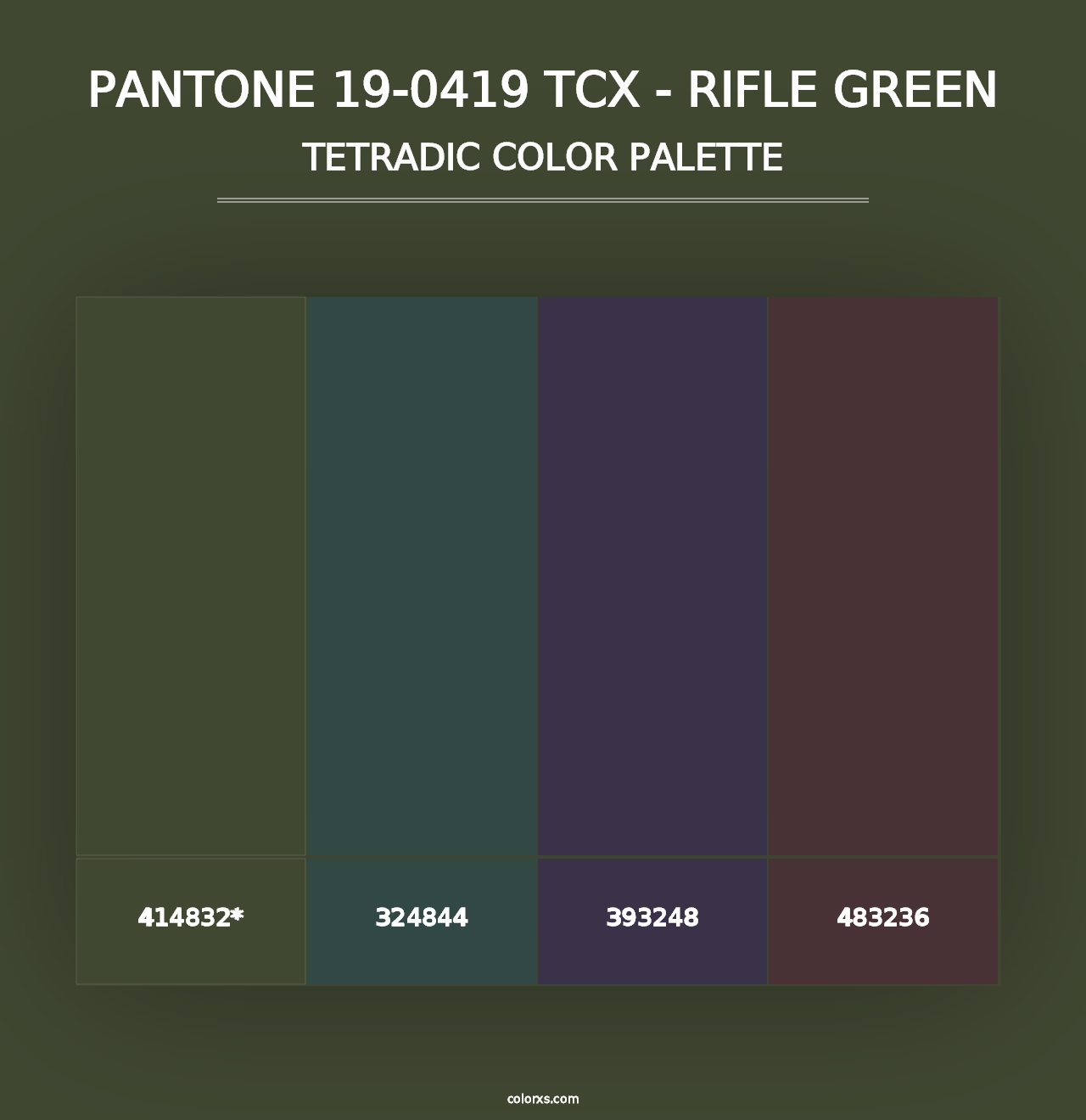 PANTONE 19-0419 TCX - Rifle Green - Tetradic Color Palette