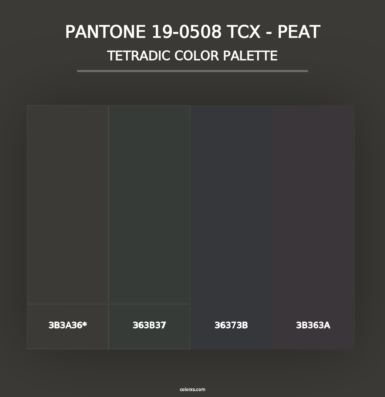 PANTONE 19-0508 TCX - Peat - Tetradic Color Palette