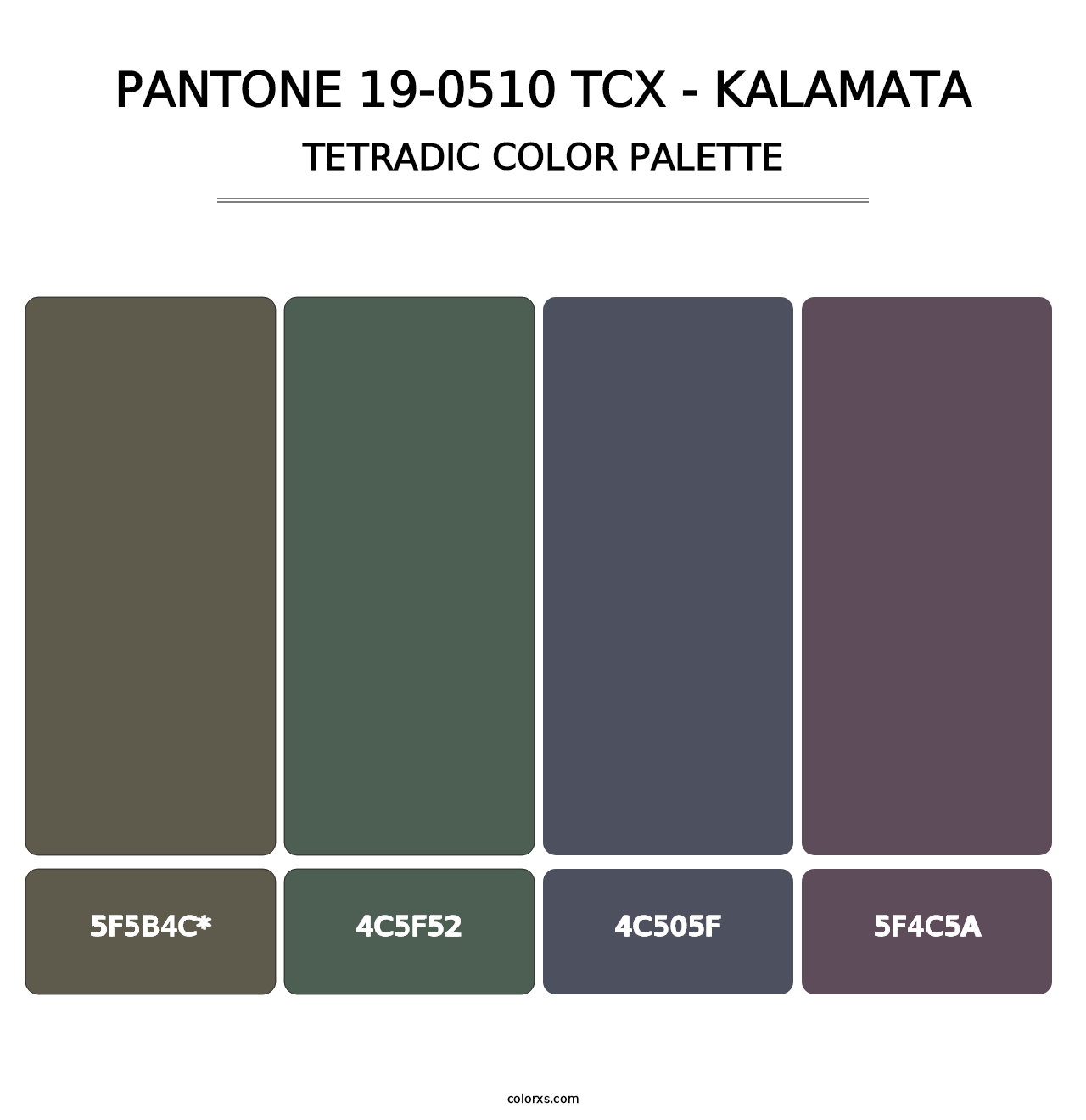 PANTONE 19-0510 TCX - Kalamata - Tetradic Color Palette