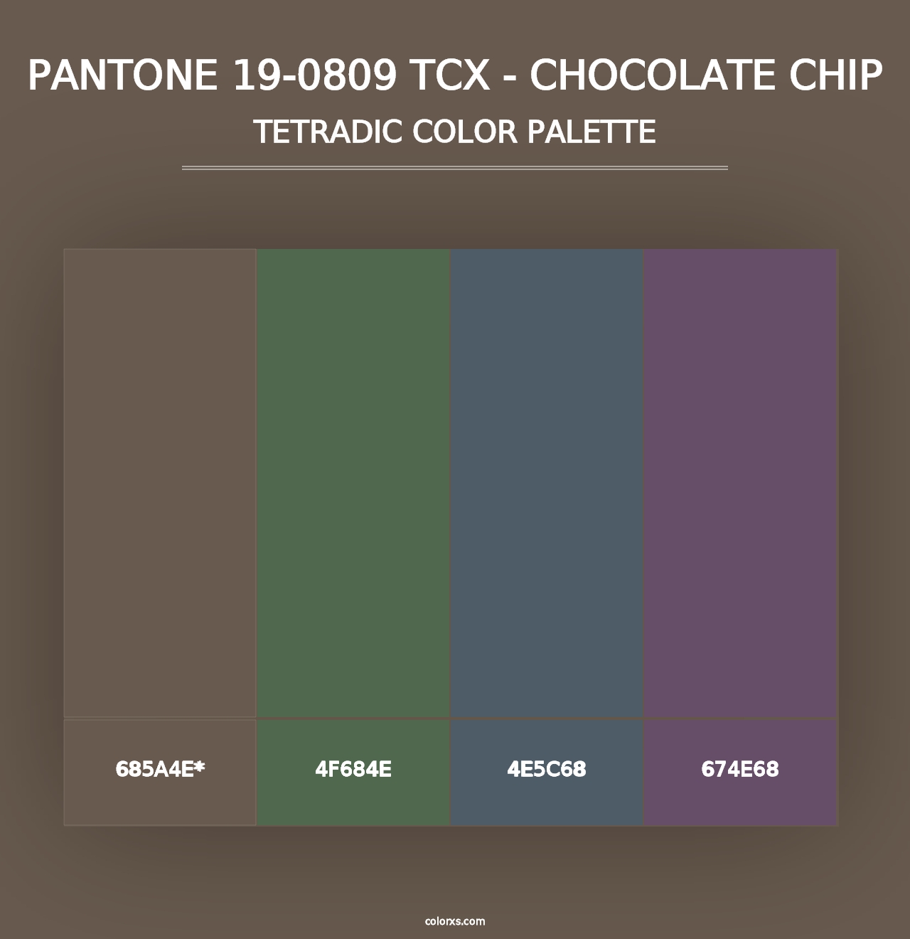 PANTONE 19-0809 TCX - Chocolate Chip - Tetradic Color Palette