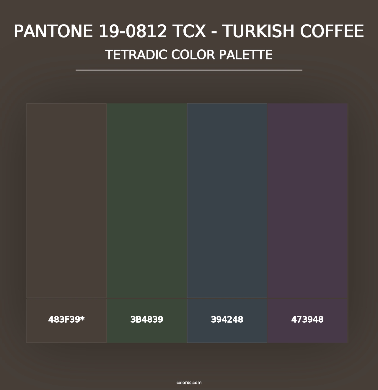 PANTONE 19-0812 TCX - Turkish Coffee - Tetradic Color Palette