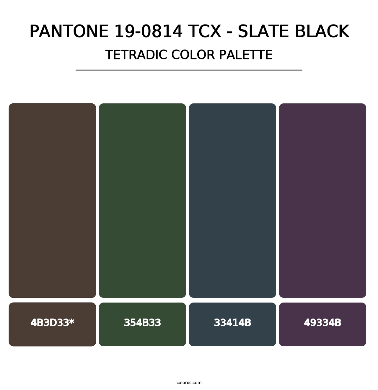 PANTONE 19-0814 TCX - Slate Black - Tetradic Color Palette