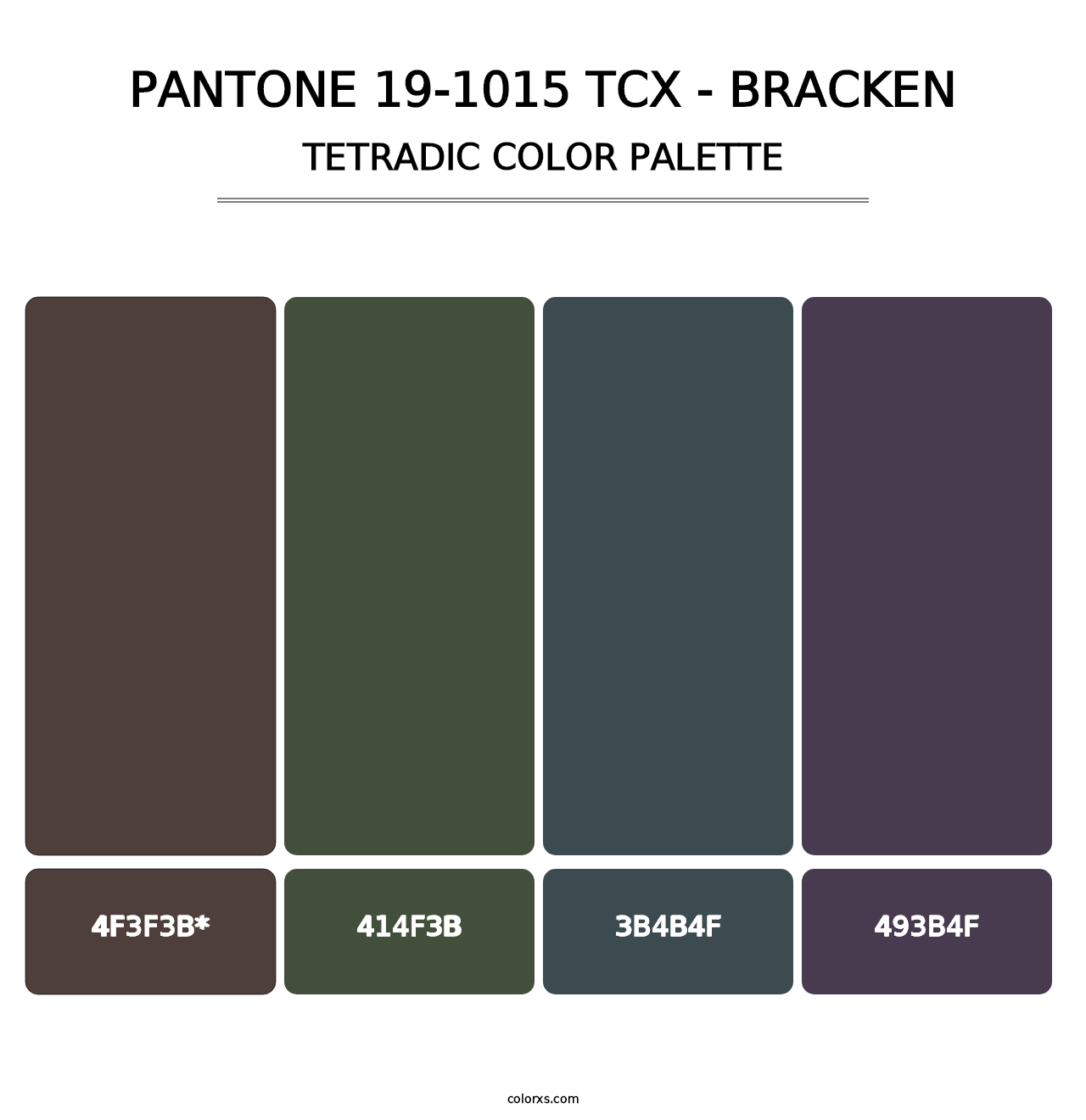 PANTONE 19-1015 TCX - Bracken - Tetradic Color Palette