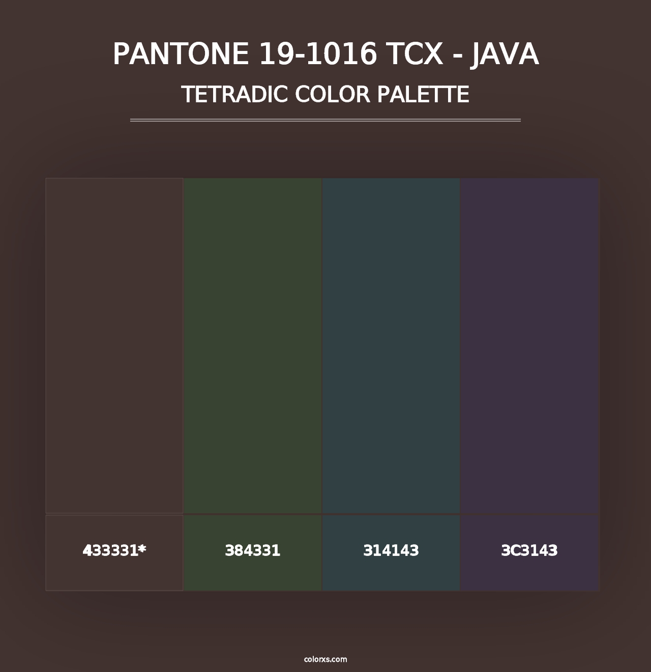 PANTONE 19-1016 TCX - Java - Tetradic Color Palette