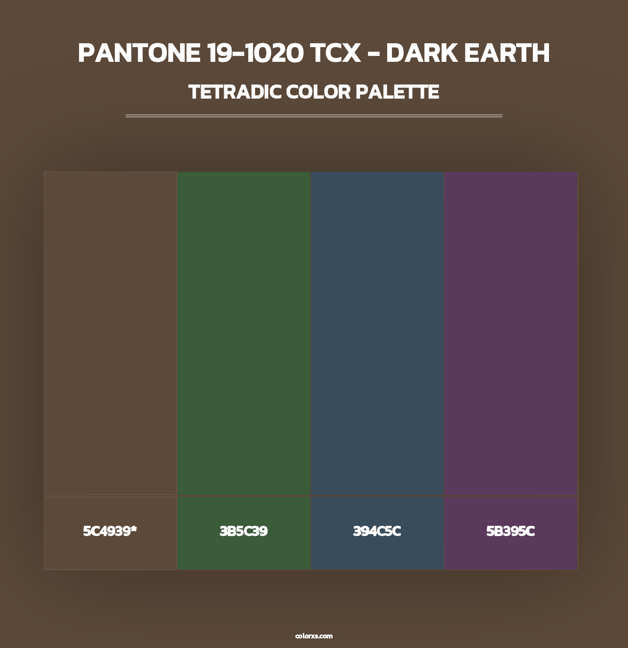 PANTONE 19-1020 TCX - Dark Earth - Tetradic Color Palette