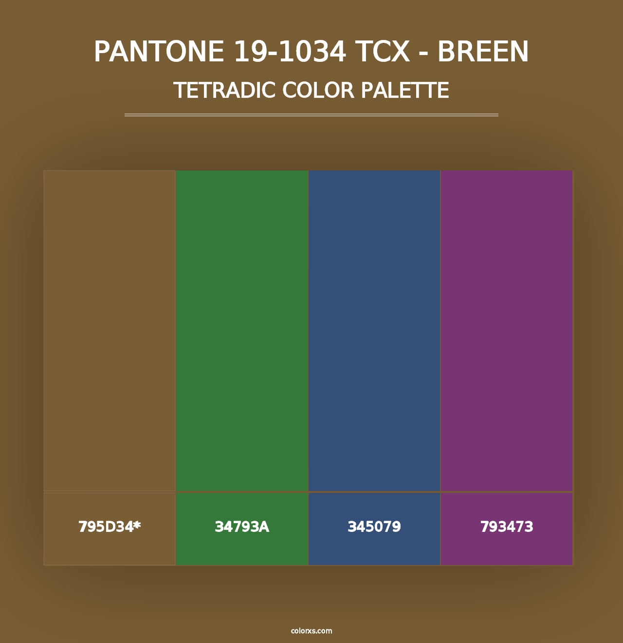 PANTONE 19-1034 TCX - Breen - Tetradic Color Palette