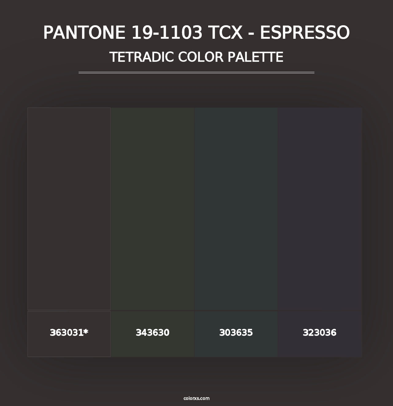 PANTONE 19-1103 TCX - Espresso - Tetradic Color Palette