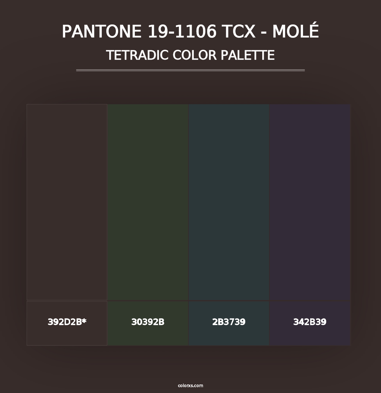 PANTONE 19-1106 TCX - Molé - Tetradic Color Palette