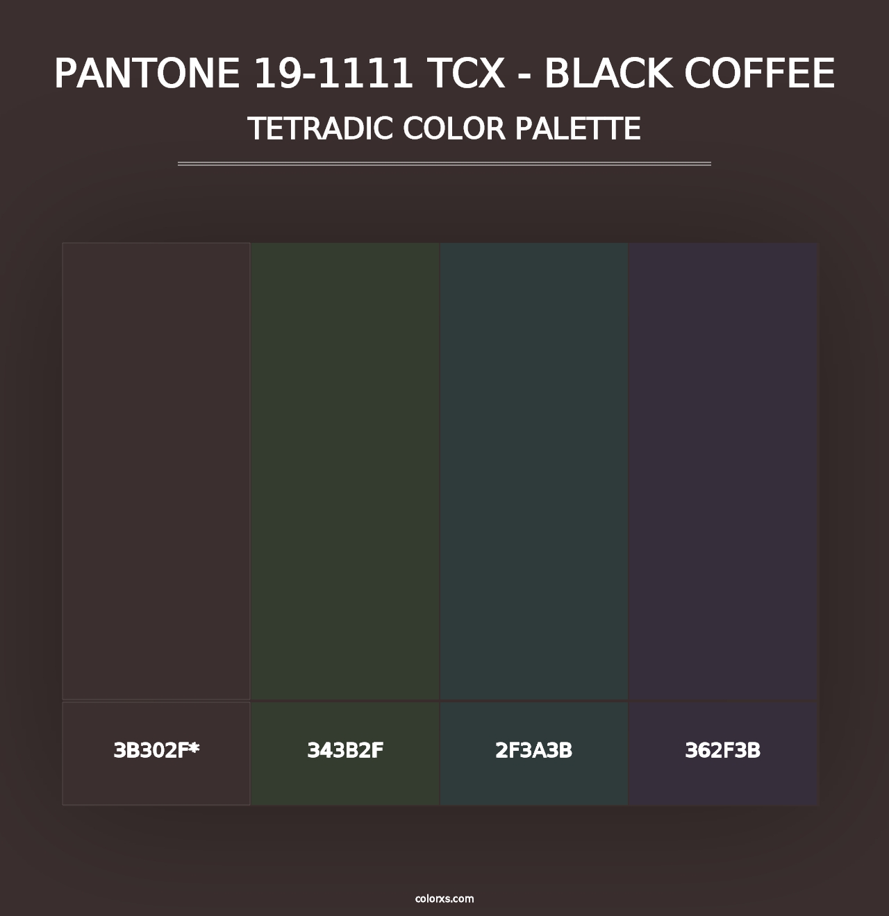 PANTONE 19-1111 TCX - Black Coffee - Tetradic Color Palette