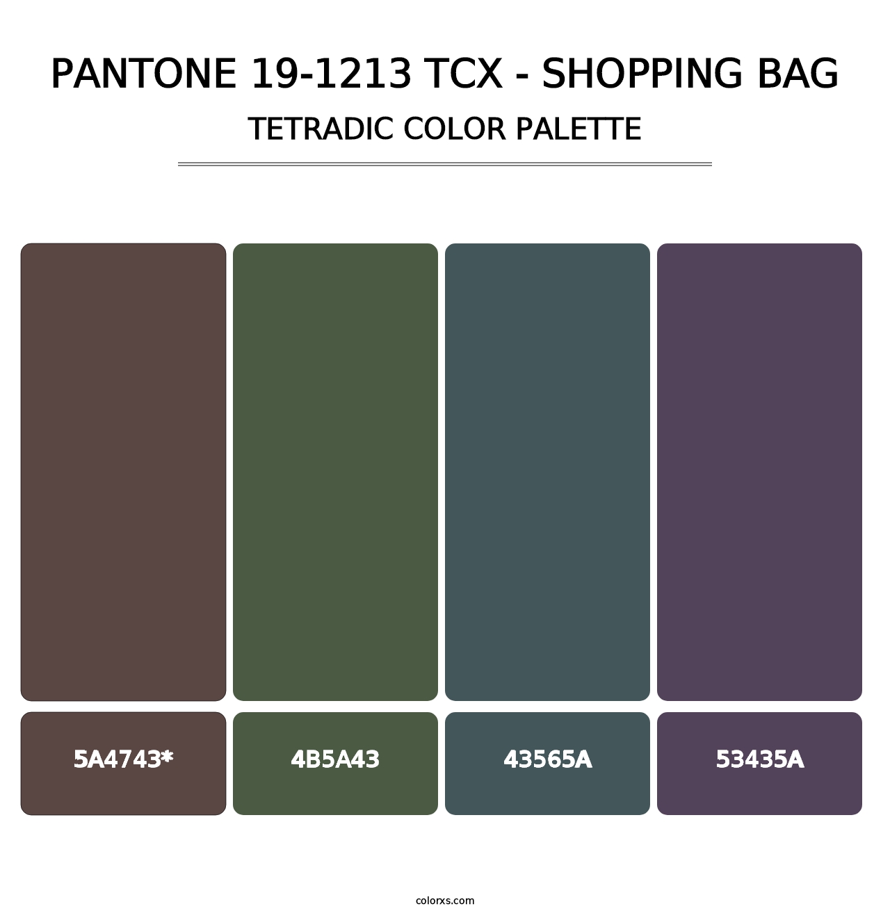 PANTONE 19-1213 TCX - Shopping Bag - Tetradic Color Palette