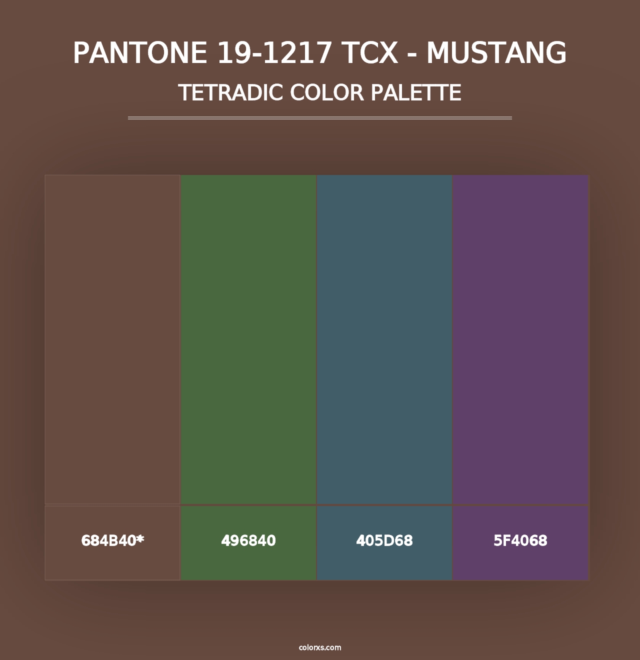 PANTONE 19-1217 TCX - Mustang - Tetradic Color Palette