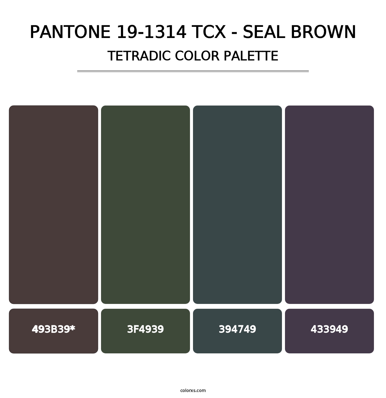 PANTONE 19-1314 TCX - Seal Brown - Tetradic Color Palette