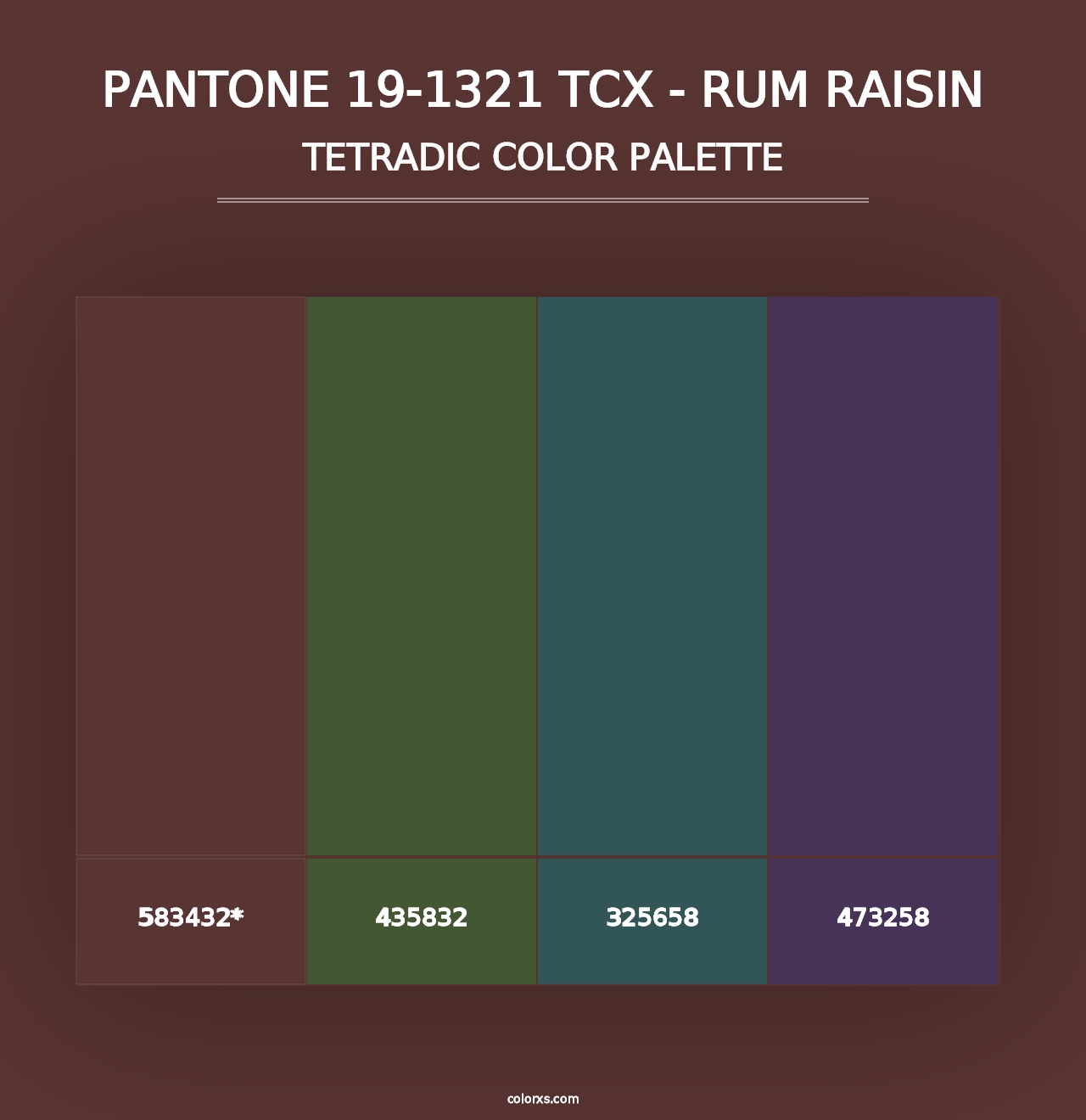 PANTONE 19-1321 TCX - Rum Raisin - Tetradic Color Palette