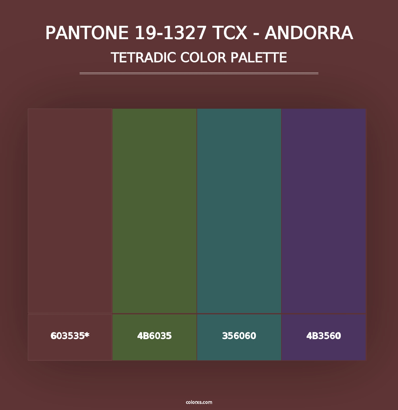 PANTONE 19-1327 TCX - Andorra - Tetradic Color Palette