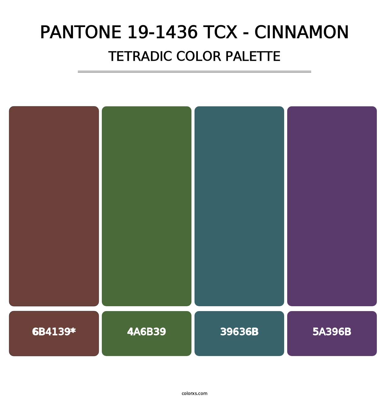 PANTONE 19-1436 TCX - Cinnamon - Tetradic Color Palette