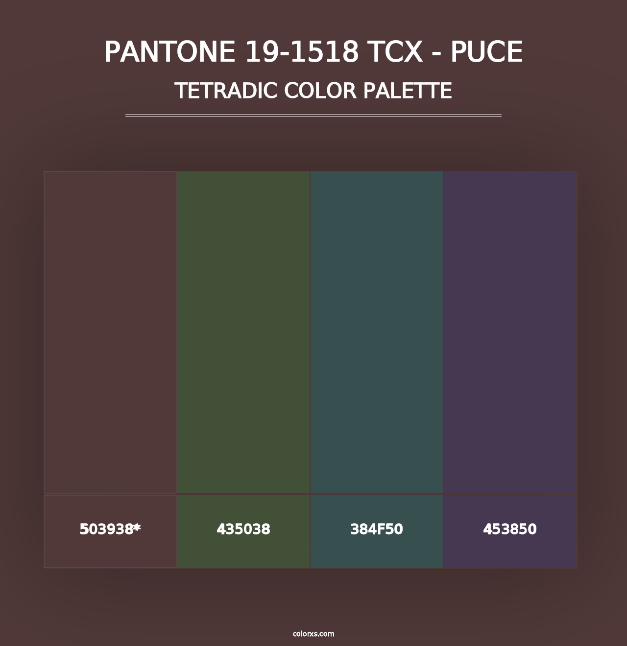 PANTONE 19-1518 TCX - Puce - Tetradic Color Palette