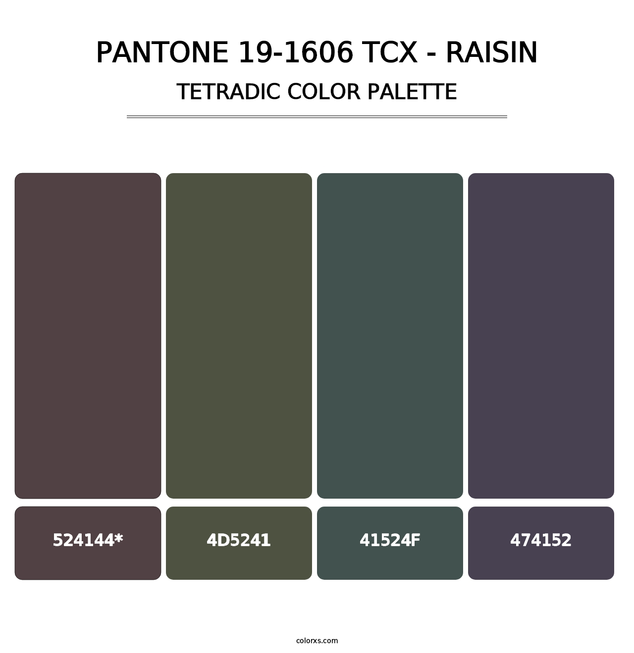 PANTONE 19-1606 TCX - Raisin - Tetradic Color Palette