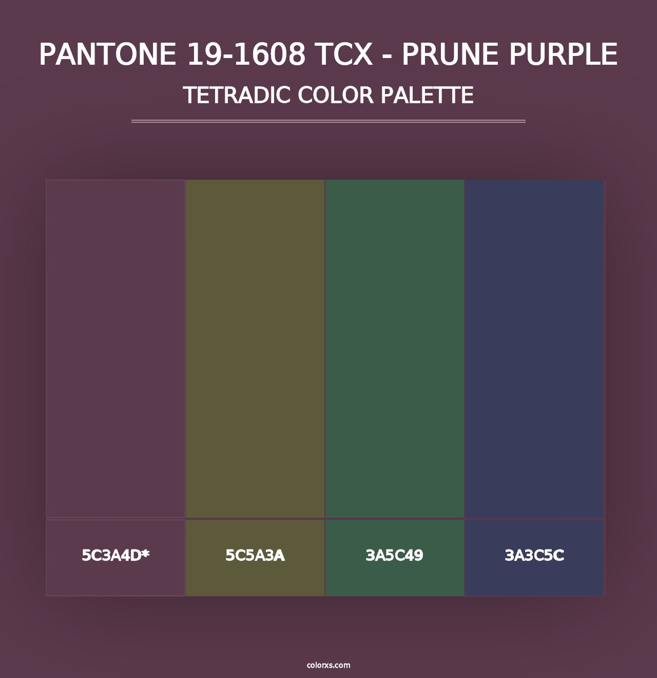 PANTONE 19-1608 TCX - Prune Purple - Tetradic Color Palette