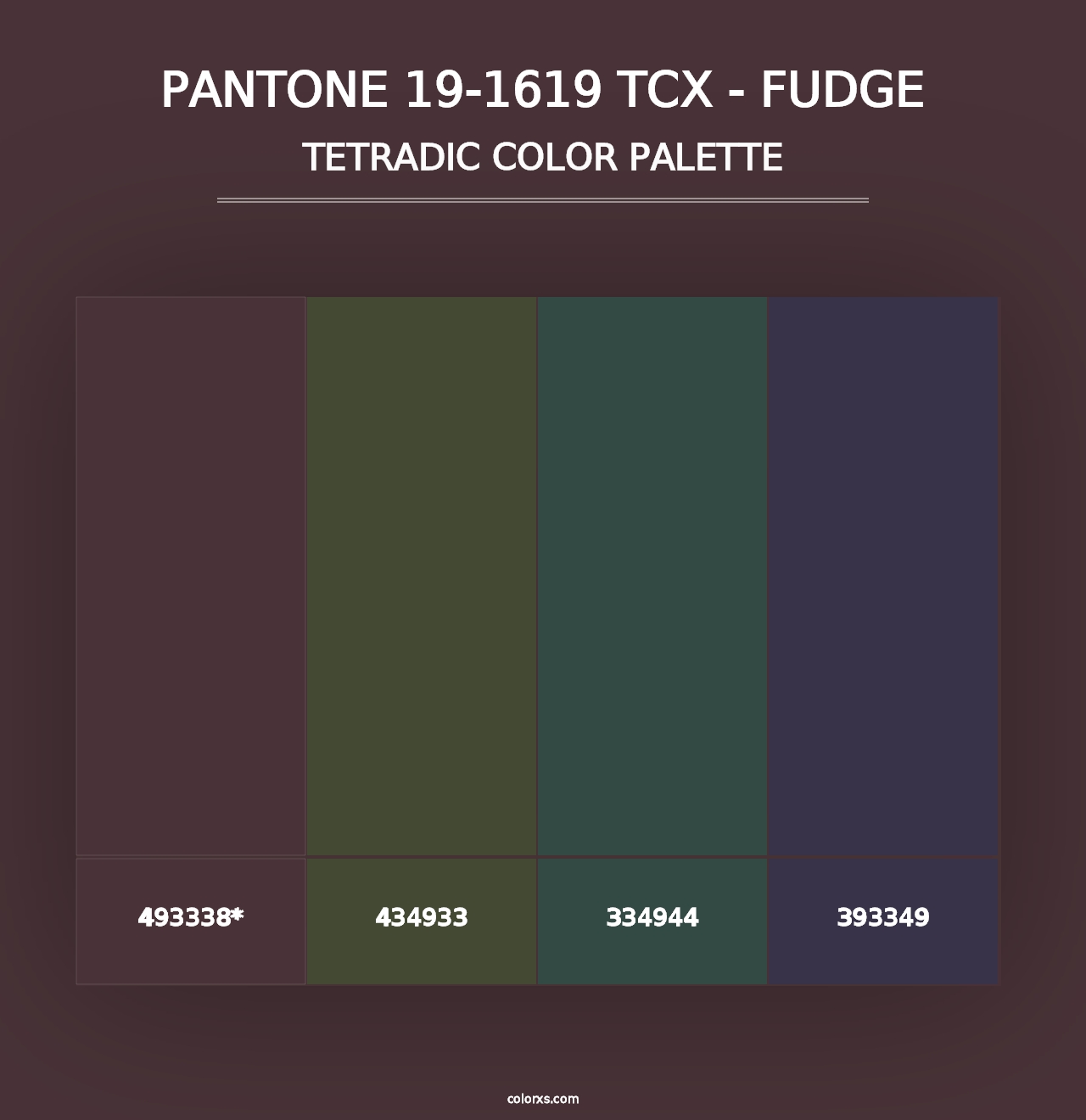 PANTONE 19-1619 TCX - Fudge - Tetradic Color Palette