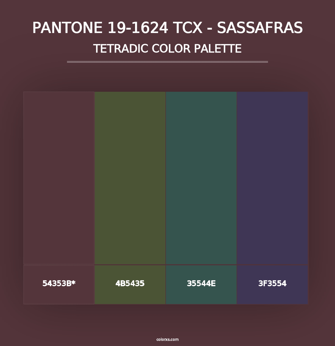 PANTONE 19-1624 TCX - Sassafras - Tetradic Color Palette