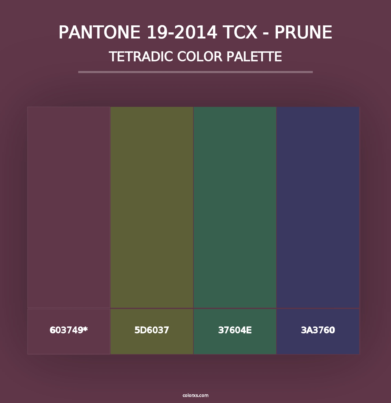 PANTONE 19-2014 TCX - Prune - Tetradic Color Palette