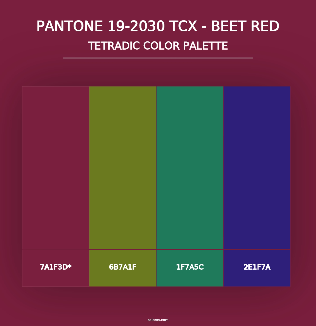 PANTONE 19-2030 TCX - Beet Red - Tetradic Color Palette