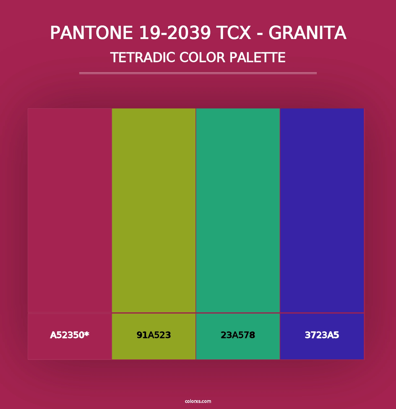 PANTONE 19-2039 TCX - Granita - Tetradic Color Palette