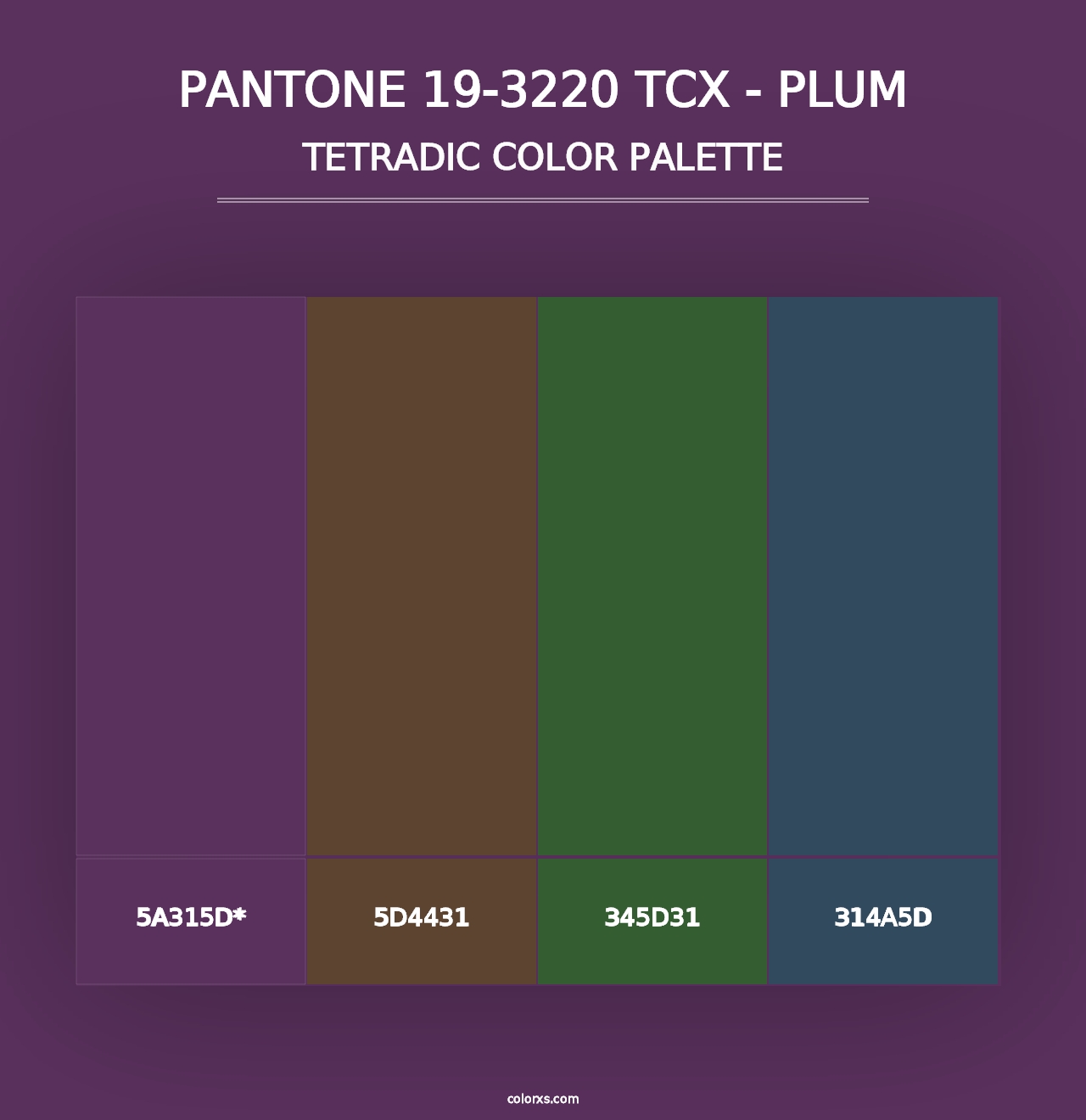 PANTONE 19-3220 TCX - Plum - Tetradic Color Palette