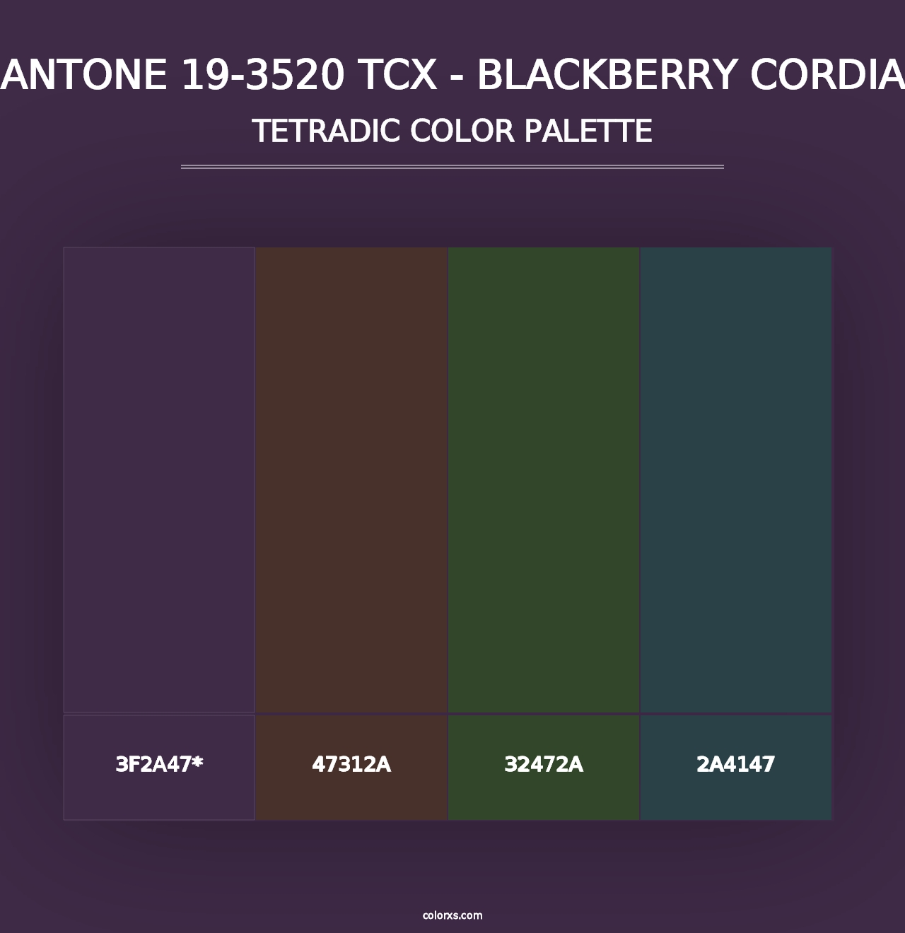 PANTONE 19-3520 TCX - Blackberry Cordial - Tetradic Color Palette