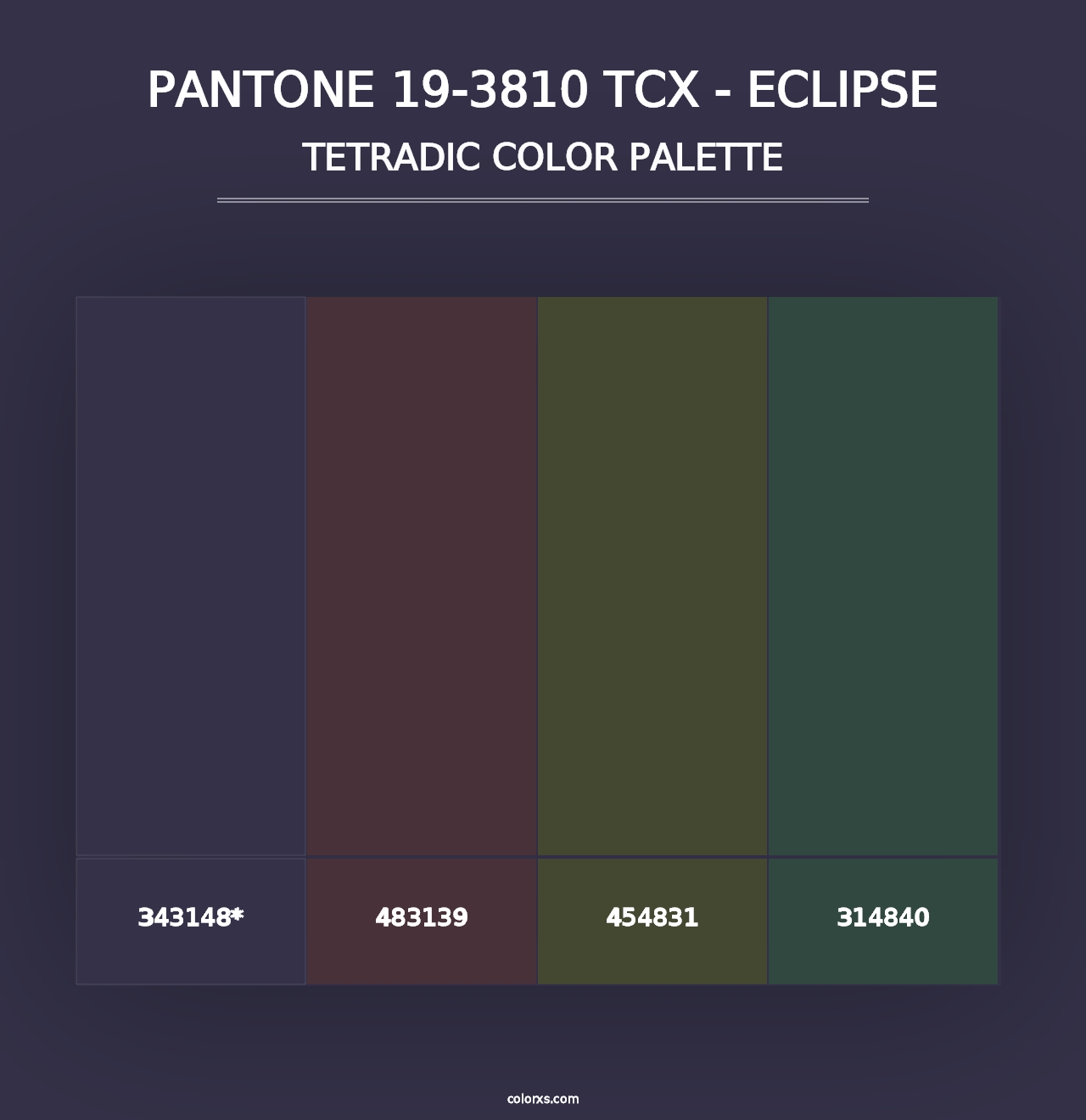 PANTONE 19-3810 TCX - Eclipse - Tetradic Color Palette