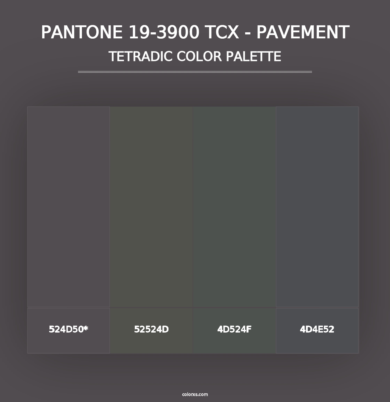 PANTONE 19-3900 TCX - Pavement - Tetradic Color Palette