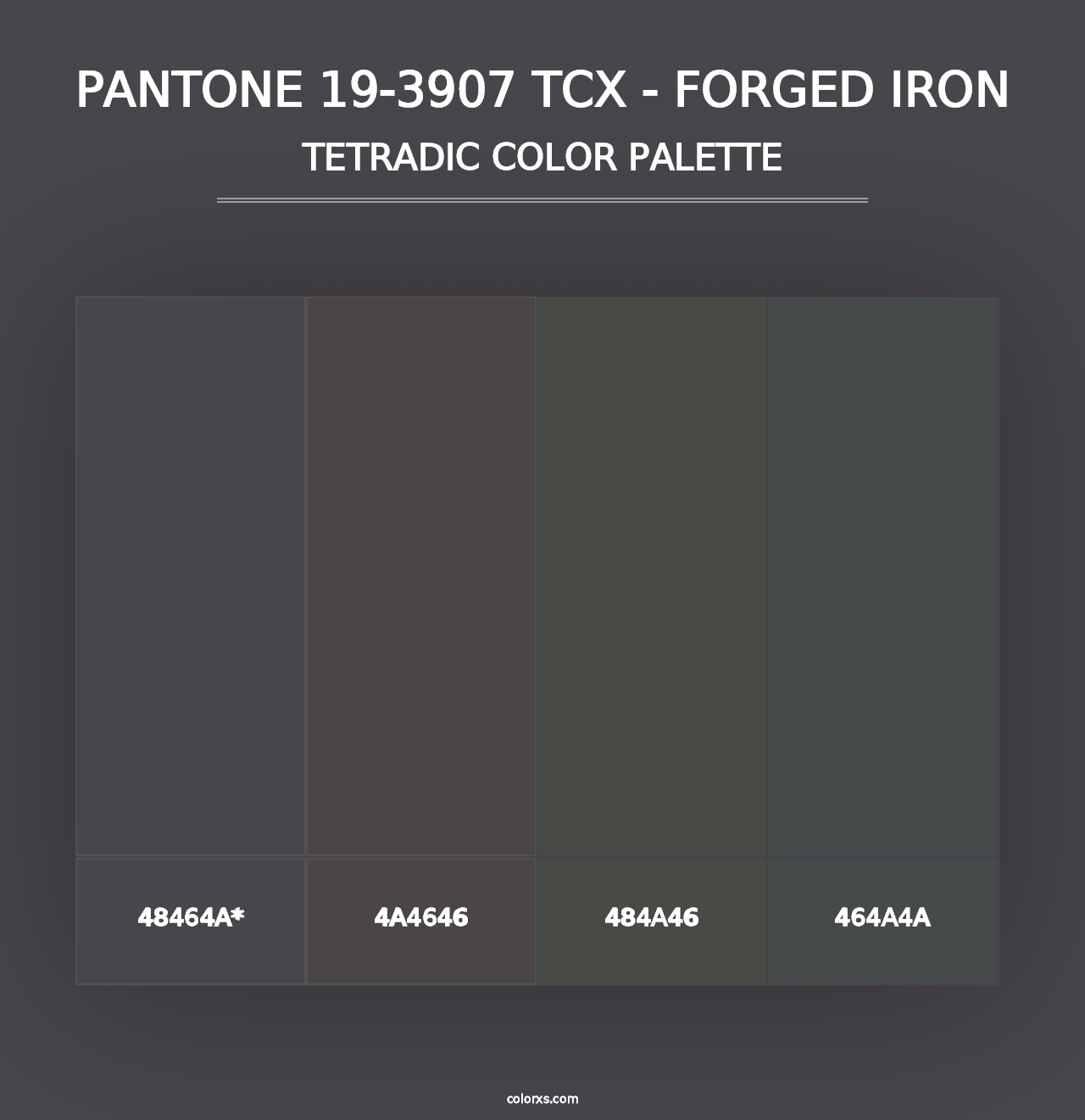 PANTONE 19-3907 TCX - Forged Iron - Tetradic Color Palette