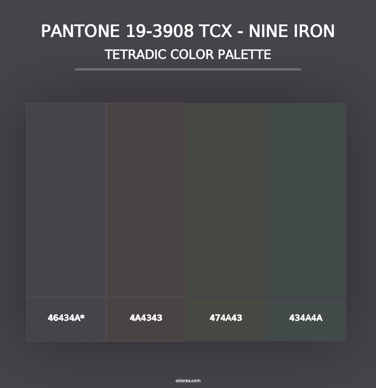 PANTONE 19-3908 TCX - Nine Iron - Tetradic Color Palette